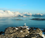 greenland scenery Супертуризм по-петербургски: в городе на Неве начали продавать туры в Гренландию, цены – от миллиона   