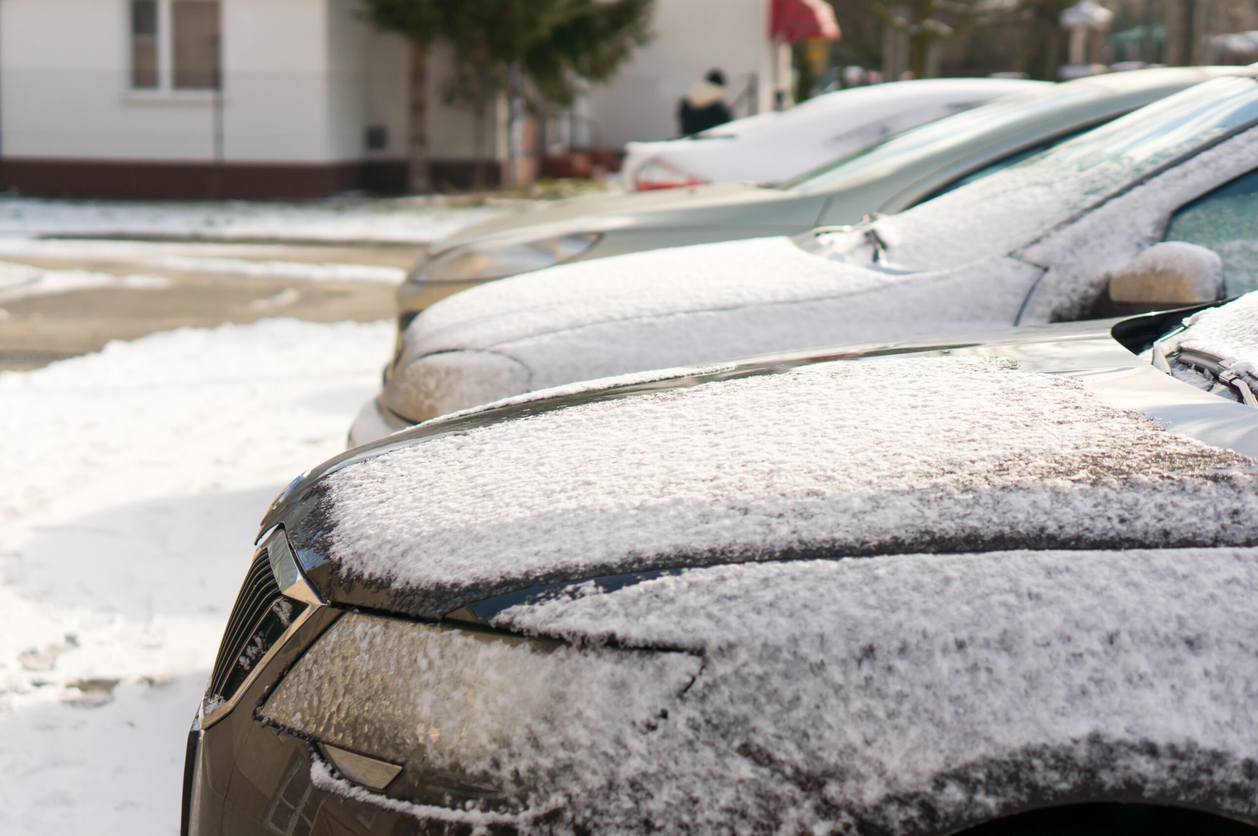 parked cars snowy day scaled Жителей Мордовии предупредили о гололедице