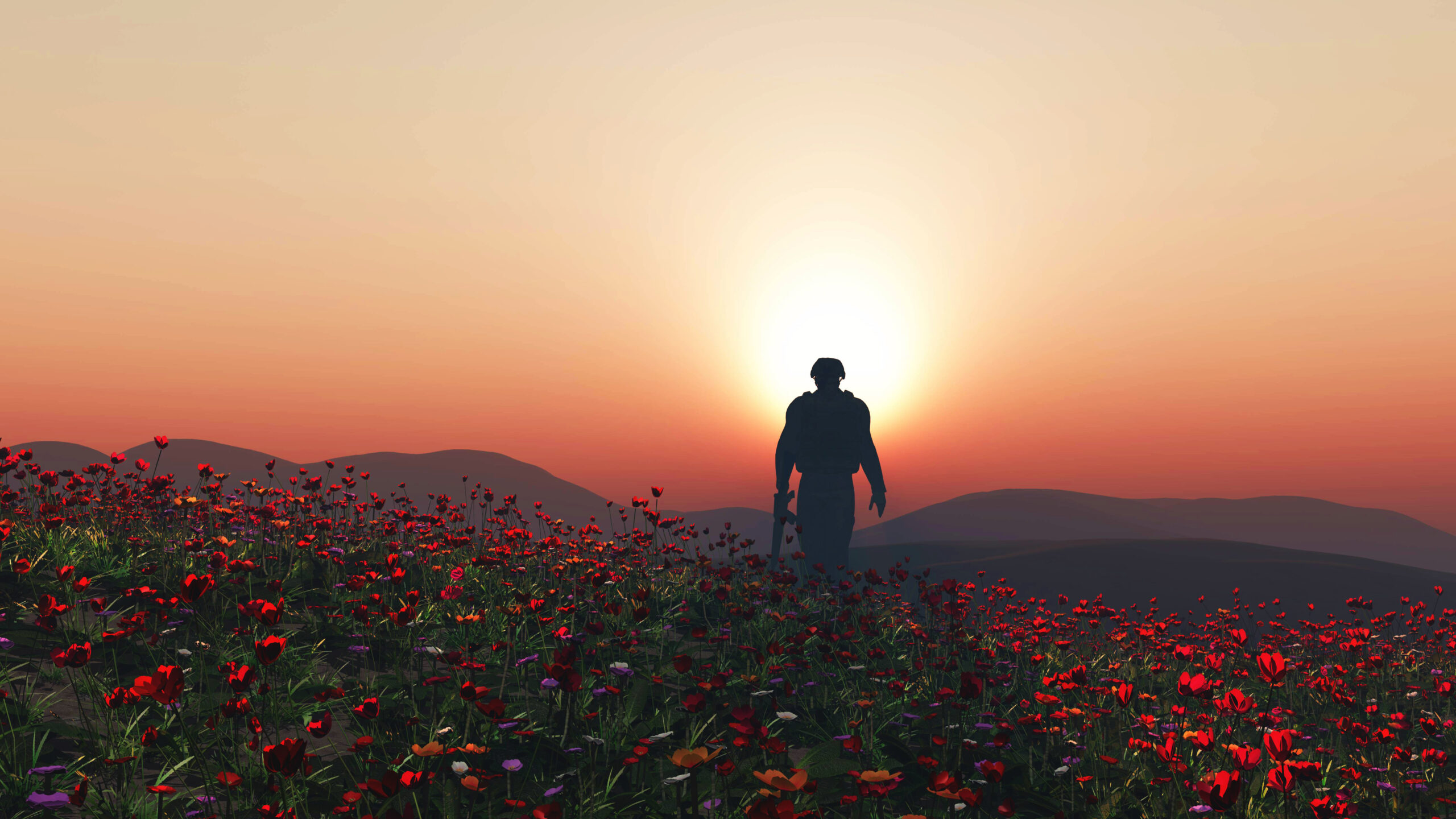 3d render soldier walking poppy field scaled В Саранске подростков приглашают на квиз о Великой Отечественной