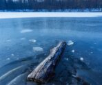 vertical shot piece wood frozen lake maksimir zagreb croatia В Мордовии жителей просят не ходить по льду