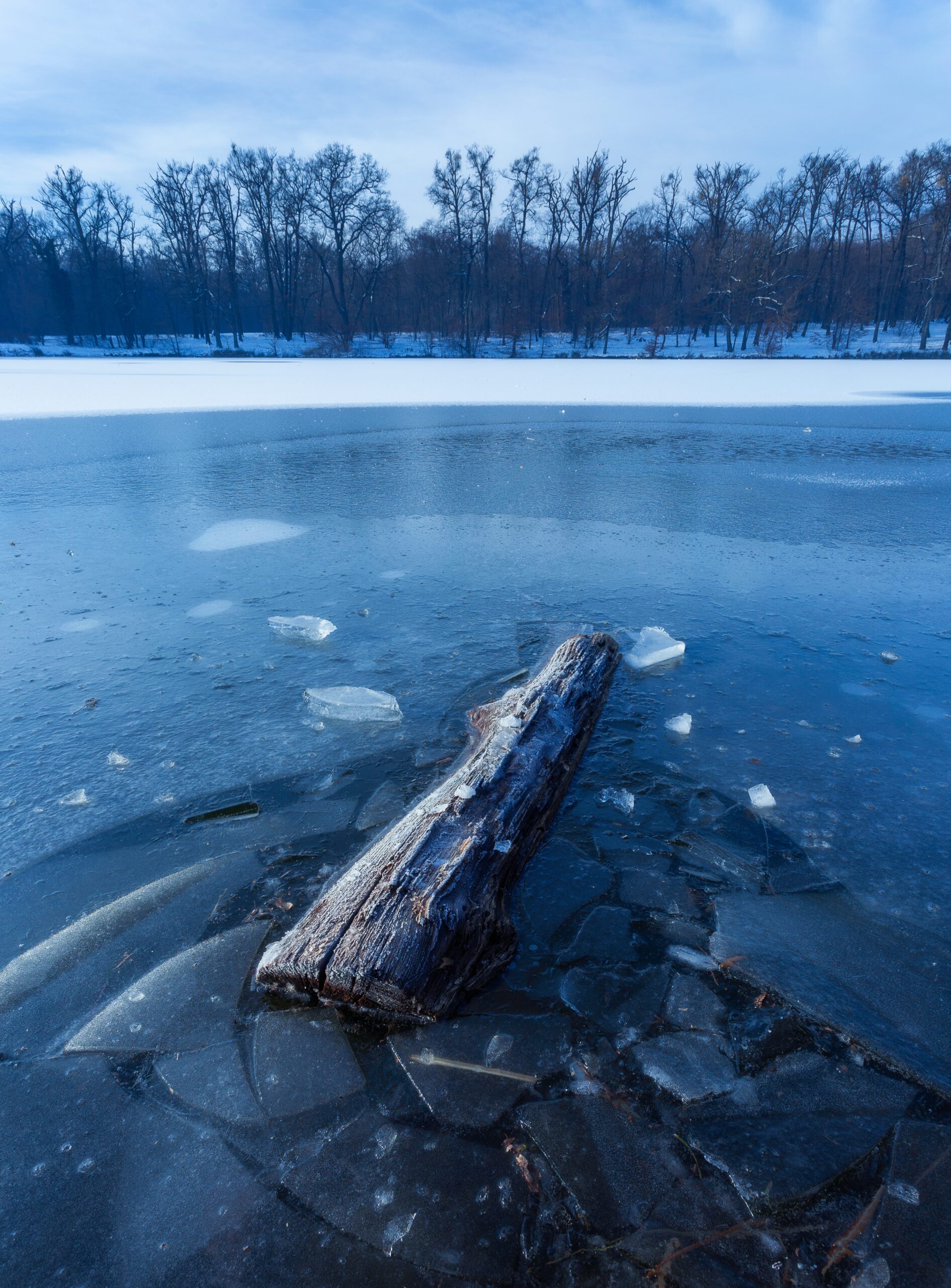 vertical shot piece wood frozen lake maksimir zagreb croatia scaled В Мордовии жителей просят не ходить по льду